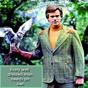 A Well-Dressed Owl